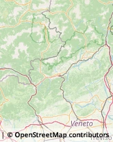 Via Vallina Orticella, 36,31030Borso del Grappa