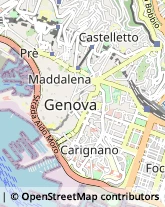 Revisione e Certificazione Bilanci,16121Genova