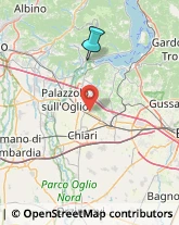 Laboratori di Analisi Cliniche,24060Bergamo