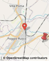 Via Segonda, 32,46025Poggio Rusco