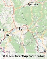 Aziende Sanitarie Locali (ASL),05031Terni