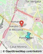 Campeggi, Villaggi Turistici e Ostelli,00118Roma