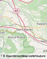 Via Frascati, 42,00040Monte Porzio Catone