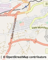 Viale delle Rose, 64,08100Nuoro