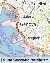 Via Eugenia Ravasco, 4-1,16128Genova