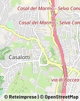 Via Salussola, 25,00166Roma