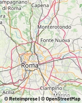 Via Francesco Pacelli, 14,00165Roma