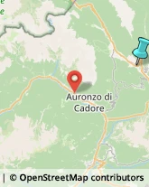 Abbigliamento,32040Belluno