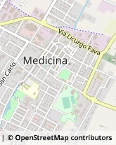 Via Libertà, 136,40059Medicina