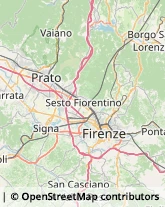 Agenzie Ippiche e Scommesse,50058Firenze