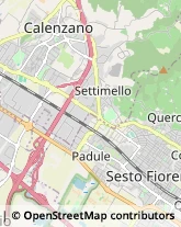 Viale Palmiro Togliatti, 131,50019Sesto Fiorentino