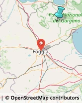 Idraulici e Lattonieri,71042Foggia