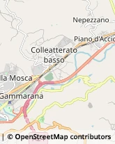 Trasportatori Meccanici,64100Teramo