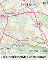 Via Gregorio di Tuscolo, 46,00046Grottaferrata