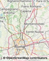 Via Fontana Zoe, 220,00131Roma