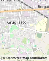 Viale Antonio Gramsci, 170,10095Grugliasco