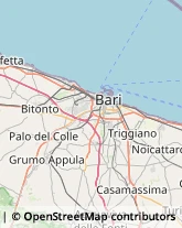 Traversa I Antica del Petto, 20,70032Bitonto