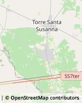 Via Grazia Deledda, 12,72028Torre Santa Susanna