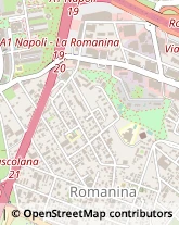 Via Raffaele Garofalo, 14,00100Roma