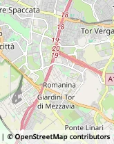 Arredamento - Vendita al Dettaglio,00173Roma