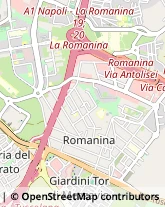 Arredamento - Vendita al Dettaglio,00173Roma