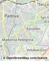 Via Del Commissario, 42,35122Padova