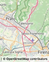 Via Pistoiese, 50,50010Campi Bisenzio