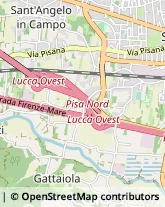 via Pisana, ,55100Lucca