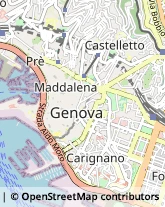 Vico Chiuso Paggi, 4/15,16128Genova