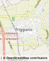 Via Michele Tridente, 42,70019Triggiano