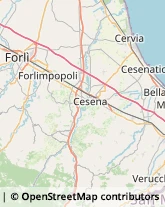 Erboristerie,47020Forlì-Cesena