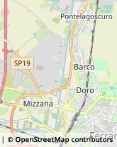 Fisiokinesiterapia - Medici Specialisti,44122Ferrara