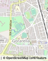 Via Papa Giovanni XXIII, 77,58100Grosseto