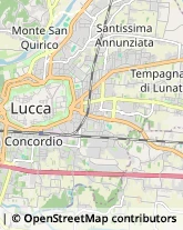 Via S. Nicolao, 65,55100Lucca