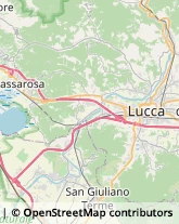 Via Lenin, 202,56017San Giuliano Terme