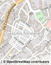 Via Giuseppe Mazzini, 20,10090Gassino Torinese