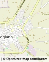 Via Antonio Canova, 16,70019Triggiano