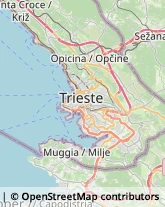 Cornici ed Aste - Dettaglio,34136Trieste