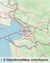 Cornici ed Aste - Dettaglio,34074Gorizia