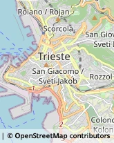 Cornici ed Aste - Dettaglio,34121Trieste