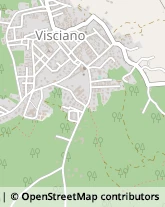 Via Alessandro Manzoni, 3,80030Visciano