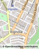 Viale Giuseppe Mazzini, 4,41058Vignola