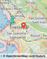 Case di Riposo e Istituti di Ricovero per Anziani,34121Trieste