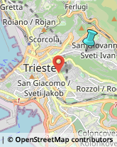 Case di Riposo e Istituti di Ricovero per Anziani,34128Trieste