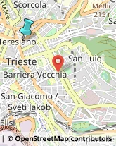 Case di Riposo e Istituti di Ricovero per Anziani,34133Trieste