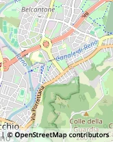 Articoli Sportivi - Dettaglio,40135Bologna