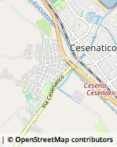 Serramenti ed Infissi in Legno,47042Forlì-Cesena