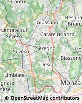 Articoli Carnevaleschi e per Feste,20811Monza e Brianza