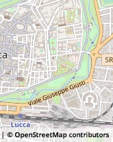 Via S. Nicolao, 65,55100Lucca