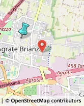 Agenzie Immobiliari,20864Monza e Brianza